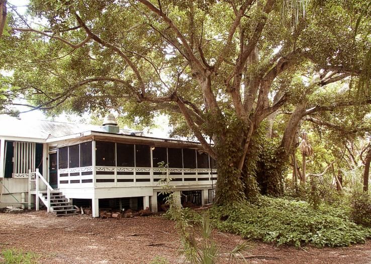 Click to See Next Image